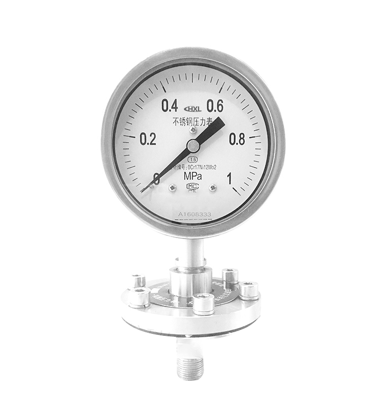 不鏽鋼(gang)壓力表(biǎo)