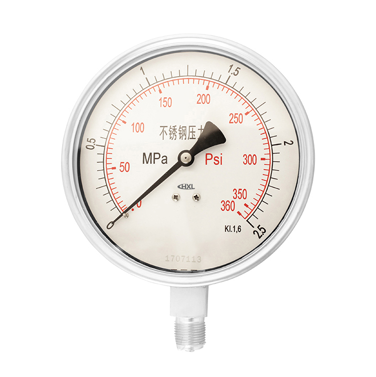 不鏽鋼(gāng)壓力表(biǎo)