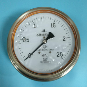 Y-153B-FZ不(bu)鏽鋼耐(nai)震壓力(li)表